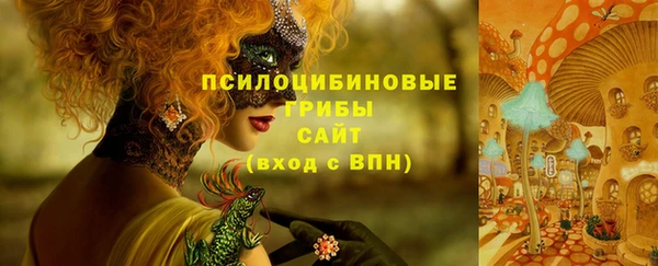 дурь Медногорск